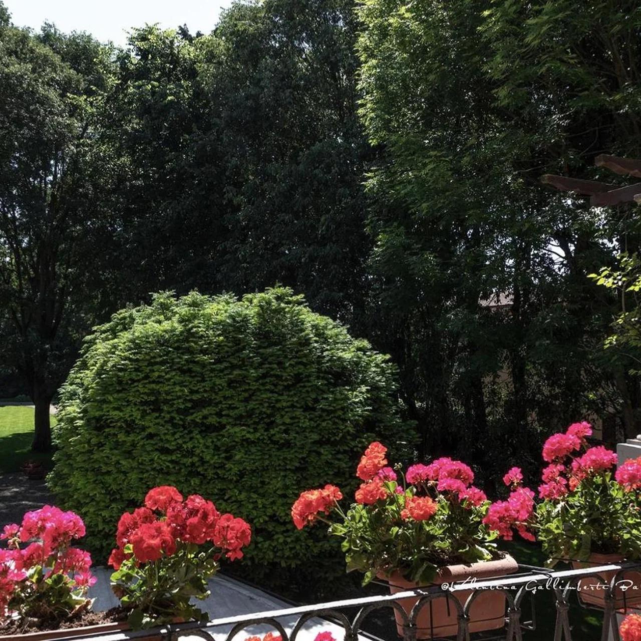 Villa Cantoni foto
