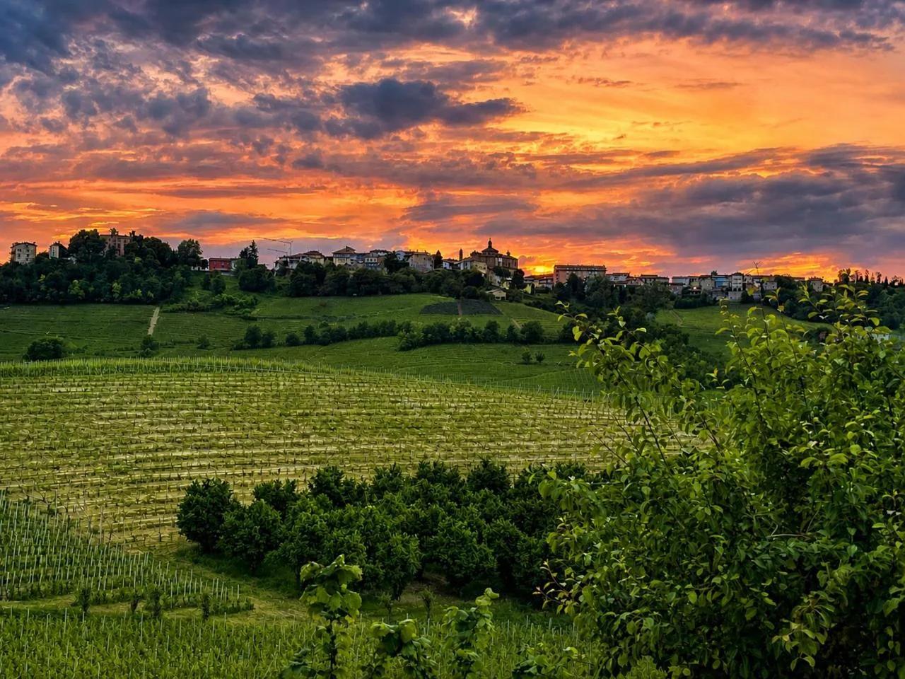 Villa Irene Langhe photo