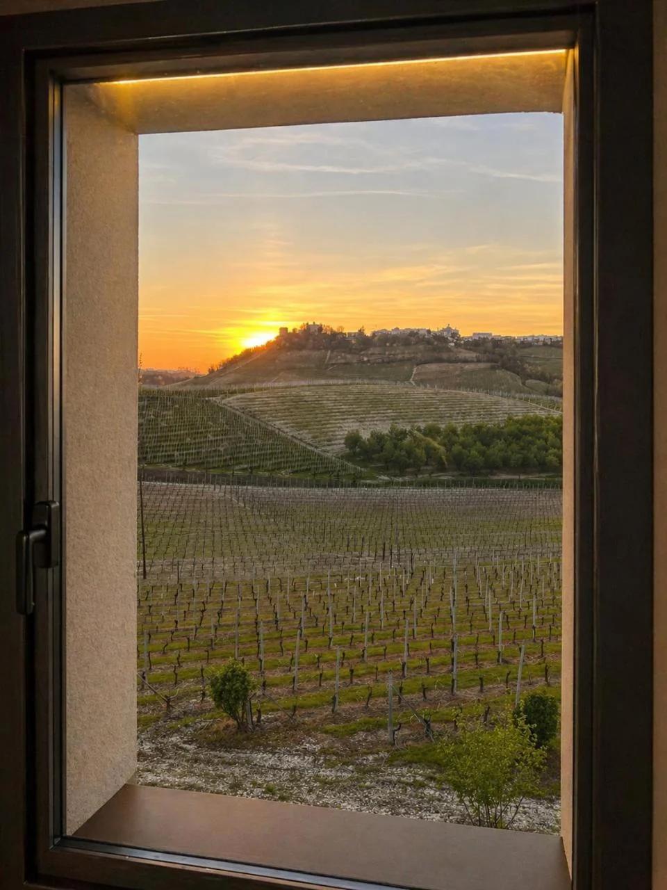 Villa Irene Langhe photo