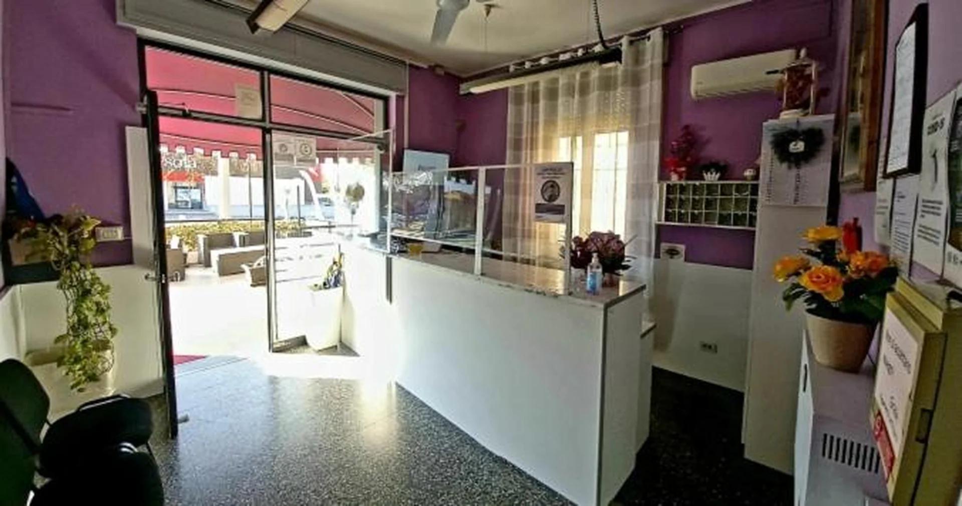 Hotel Violetta photo