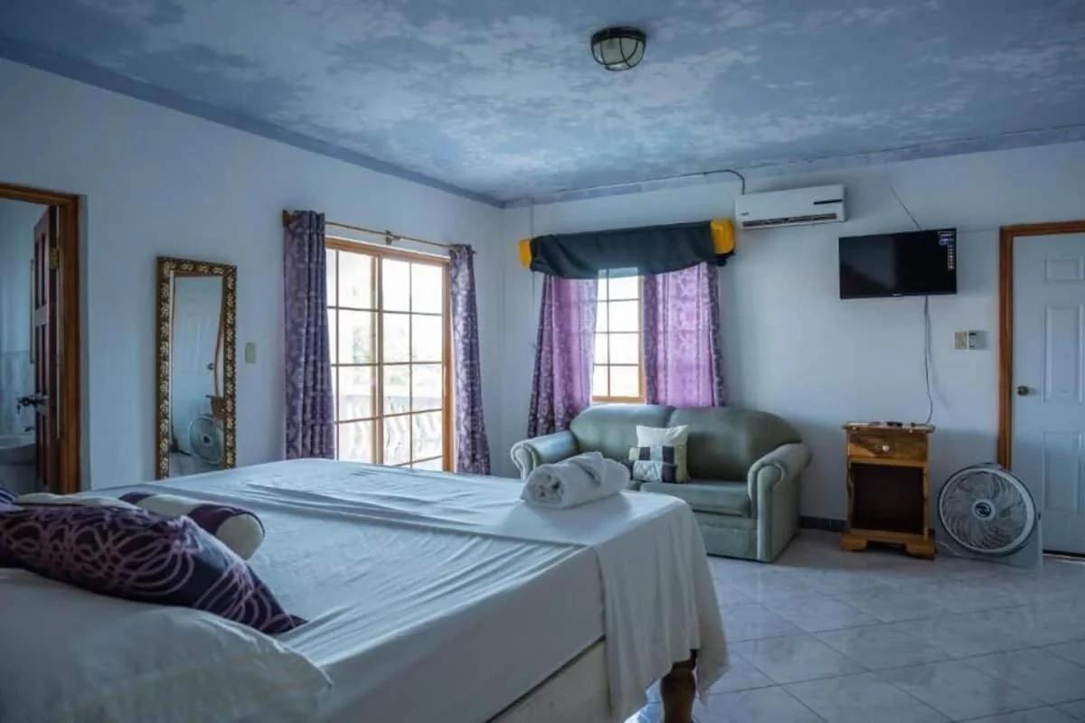 Sweetsop Jamaica Villa and Tours photo