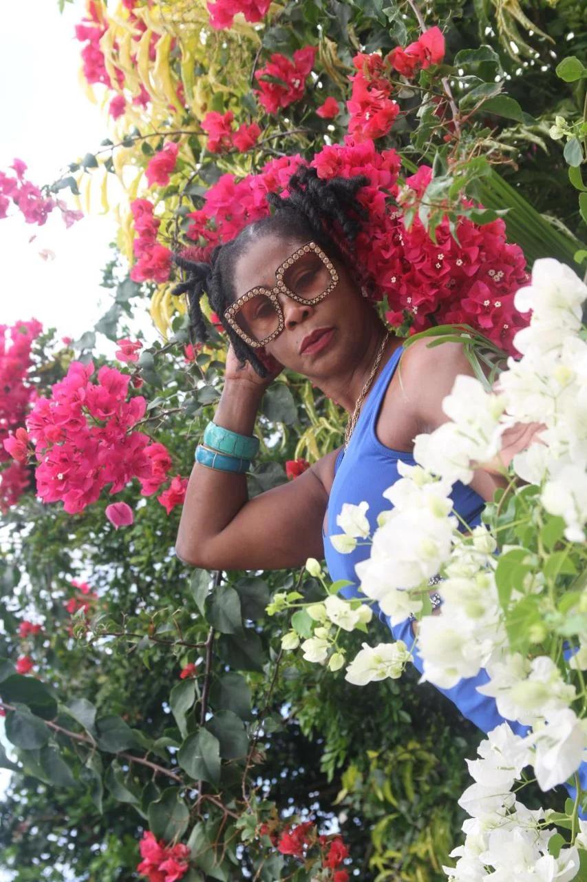 Sweetsop Jamaica Villa and Tours photo
