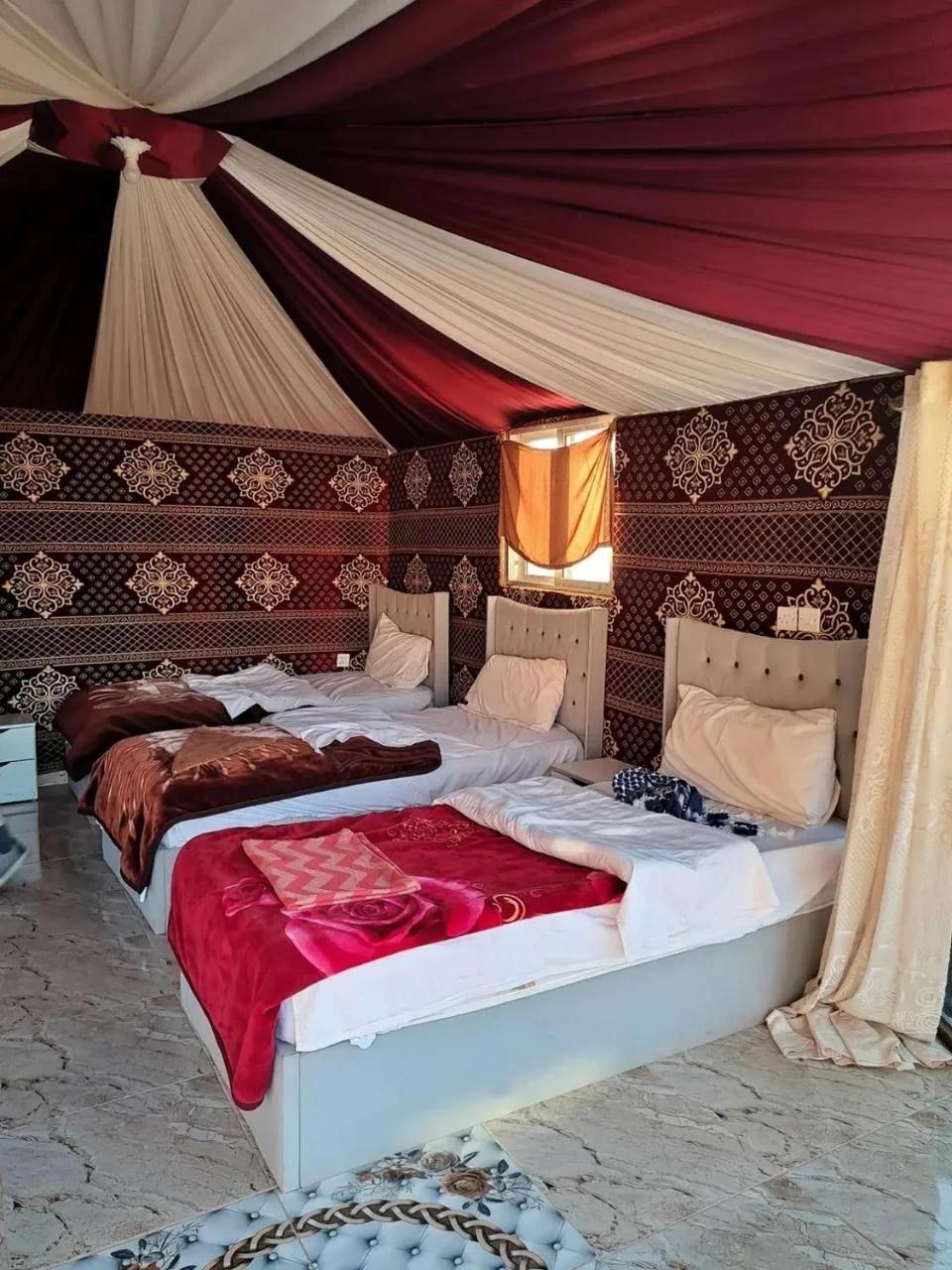 Camp in the natural reserve & tours photo