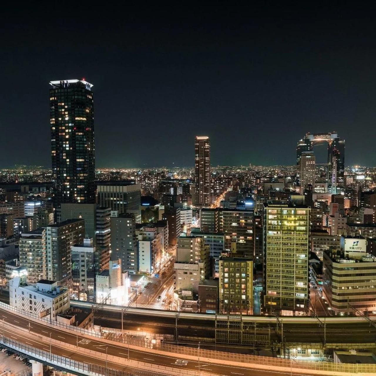 Hotel Hanshin Osaka photo