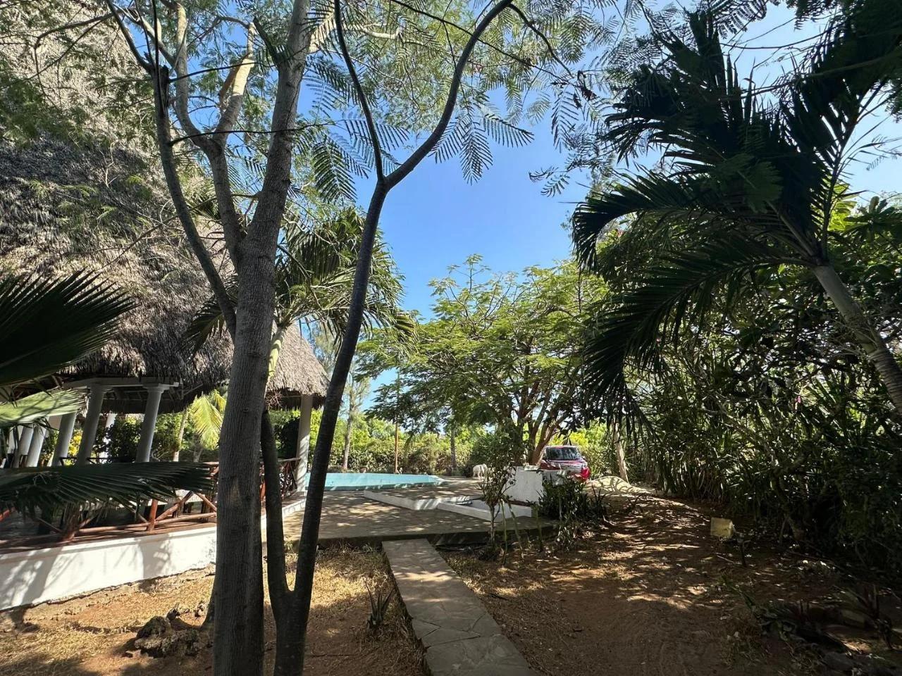 Sofia House - Beach Paradise with Kite, Dive and more photo