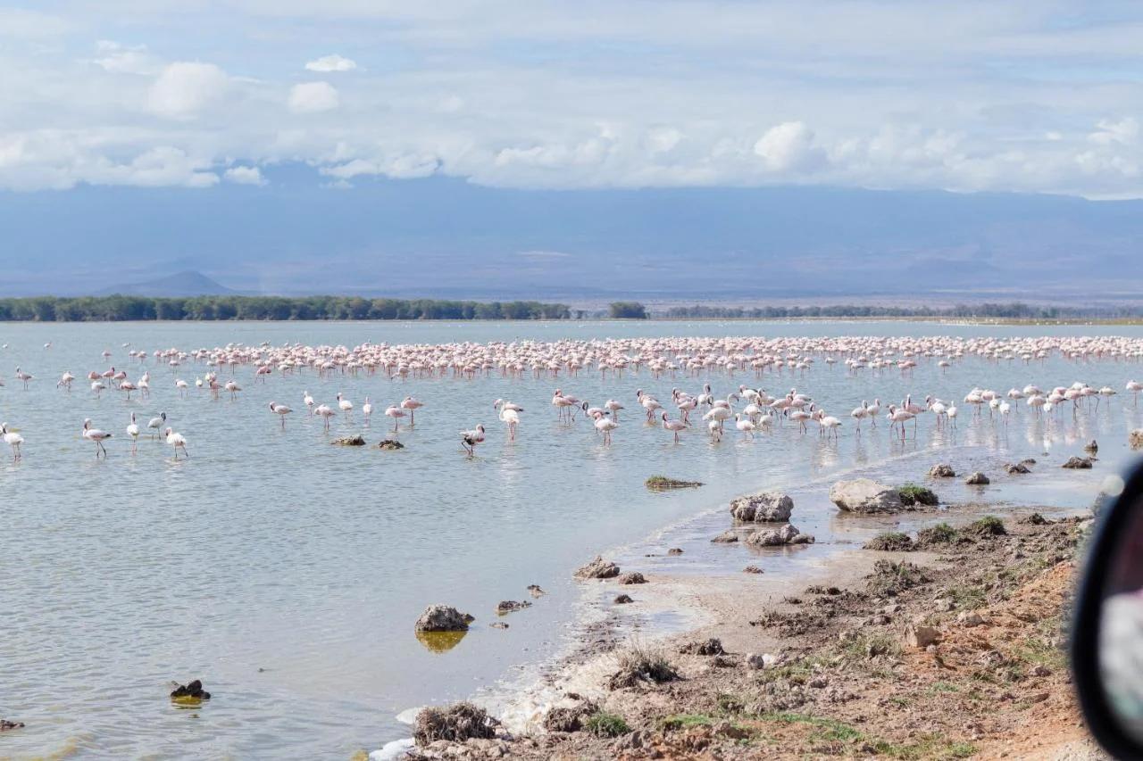 Wild Amboseli Ndovu Cottage. foto