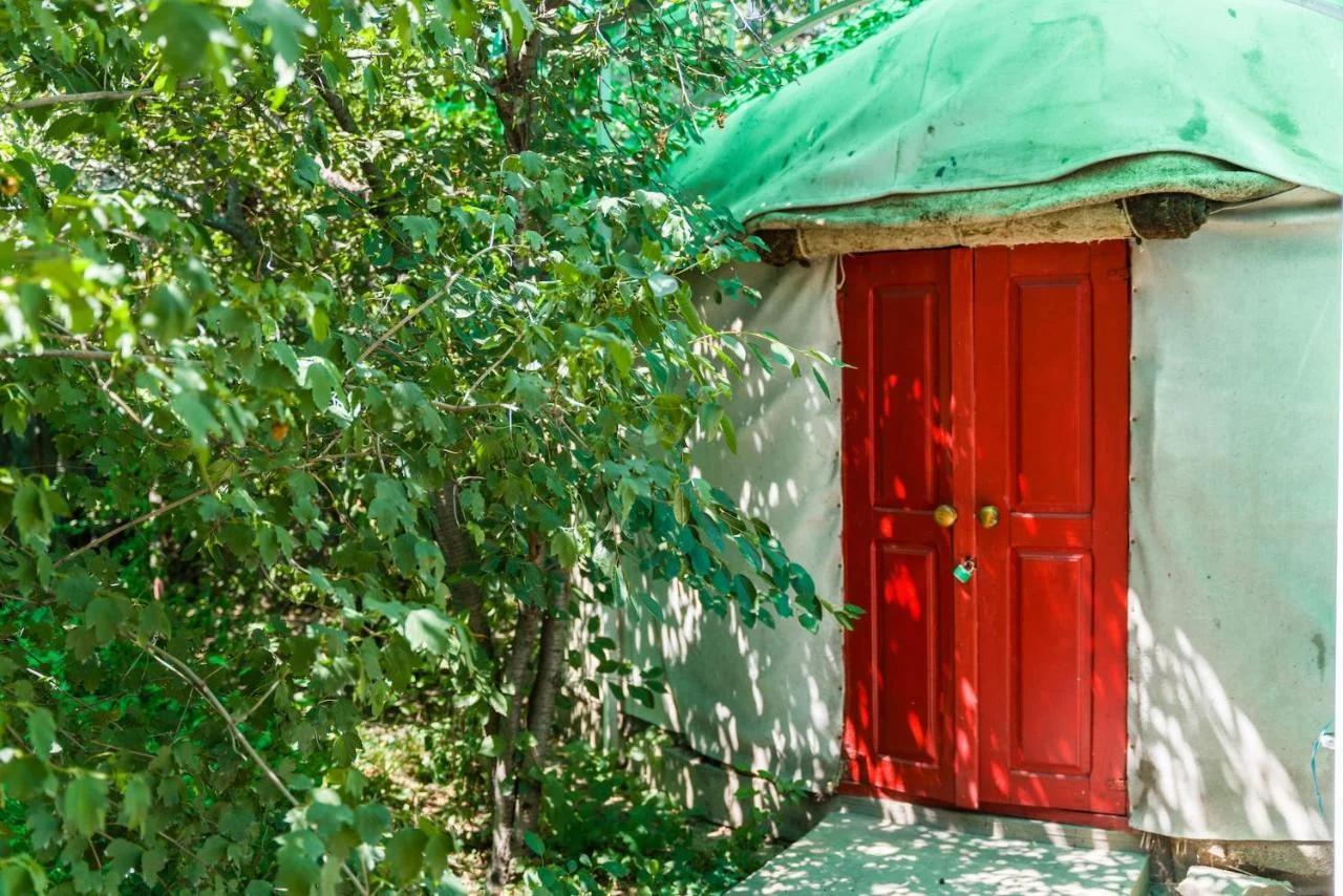 Arista Yurt Camp foto