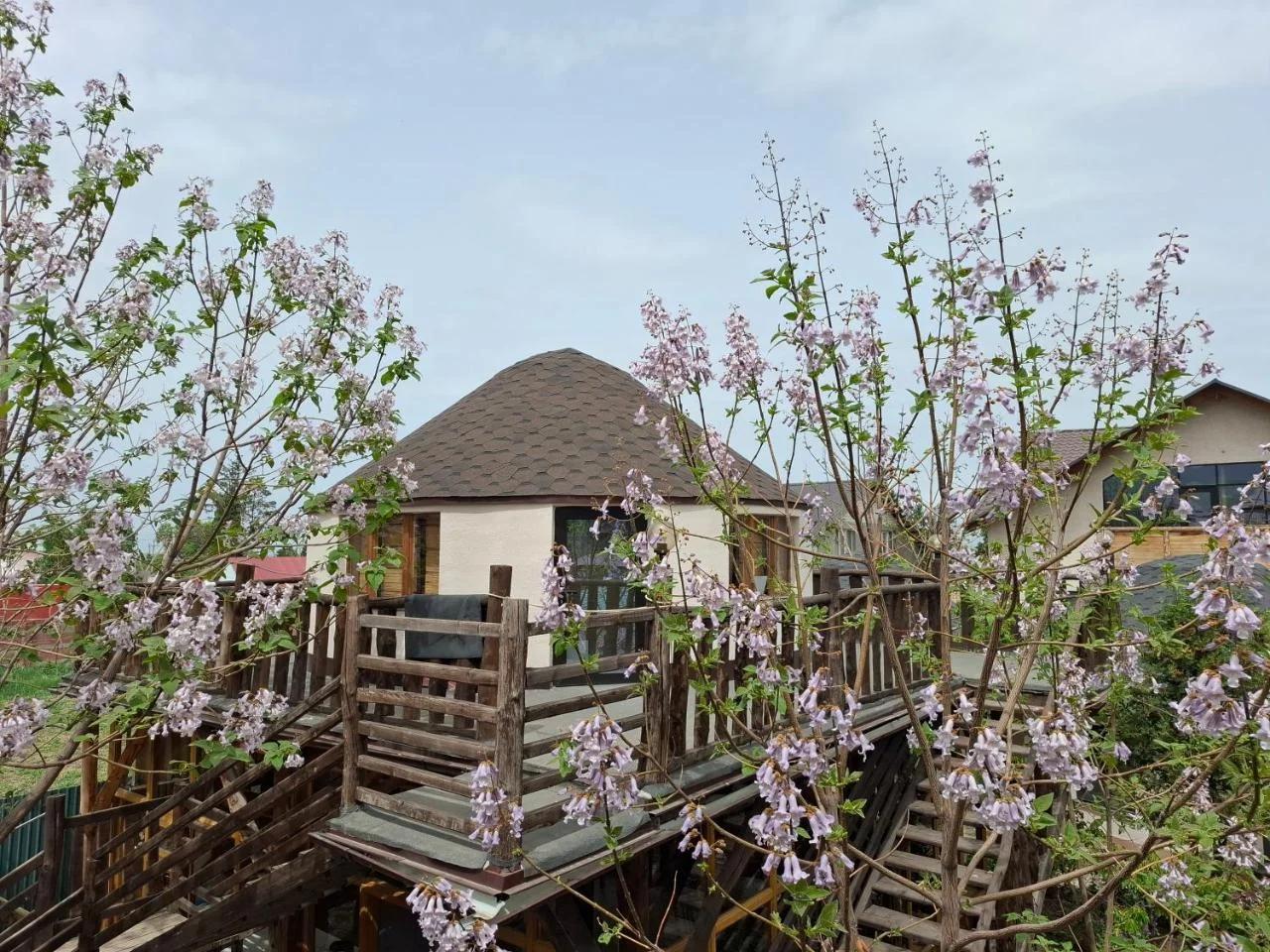 Happy Nomads - Modern Yurt Cottages & Breakfast photo