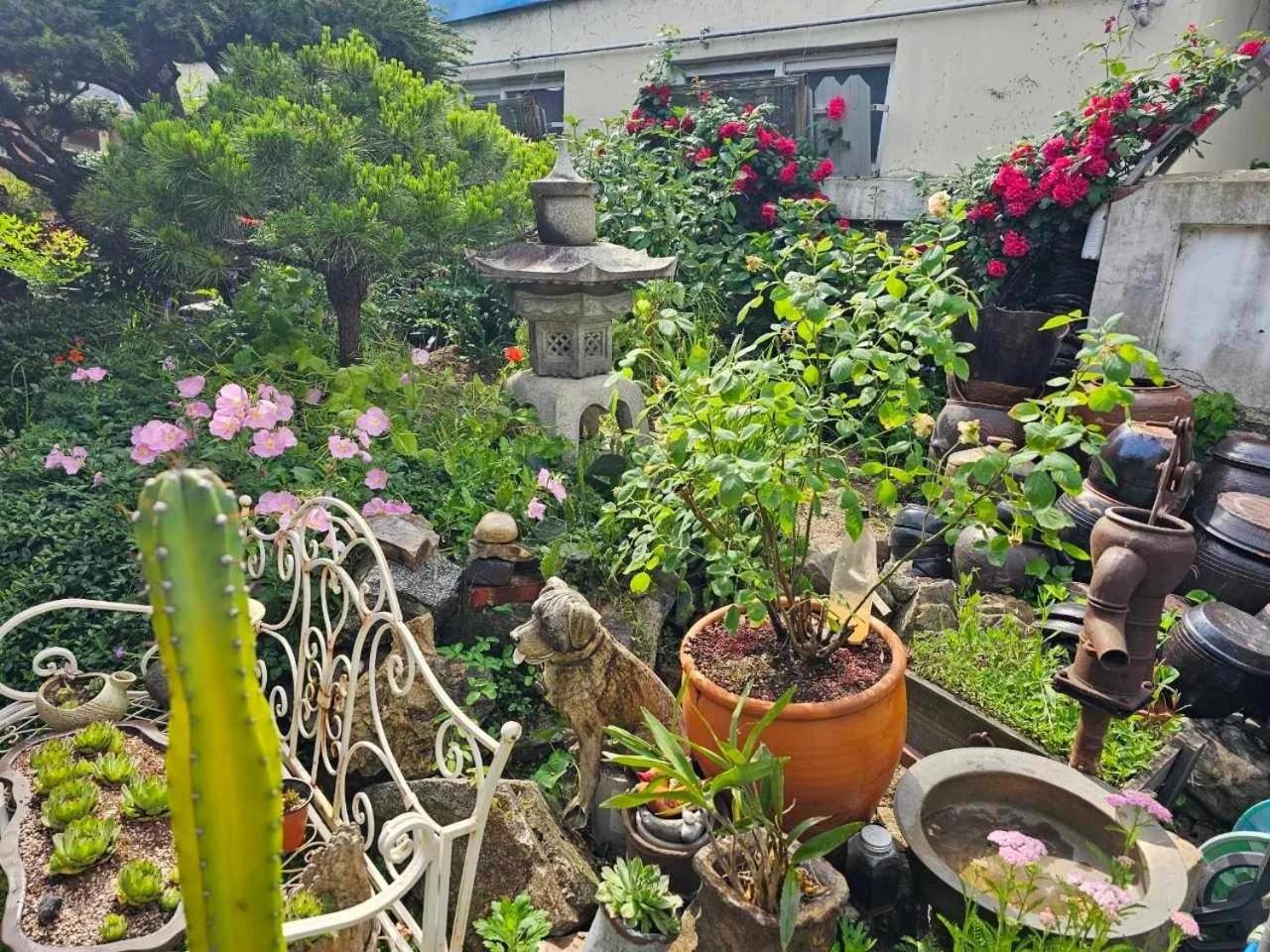 Beautiful Garden Fine Day House foto