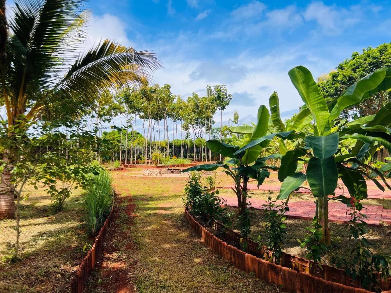 Aachchi Country Home by ABC Leisure's group foto