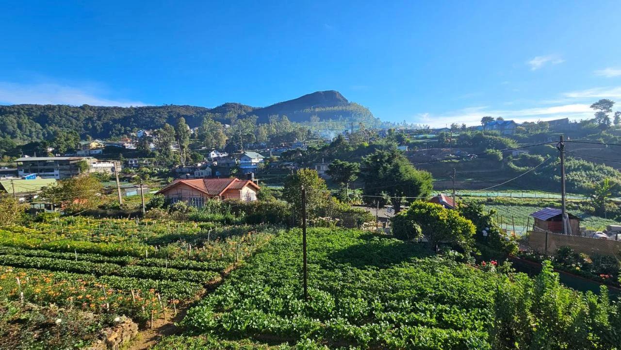 Aurora Residence Nuwara Eliya foto