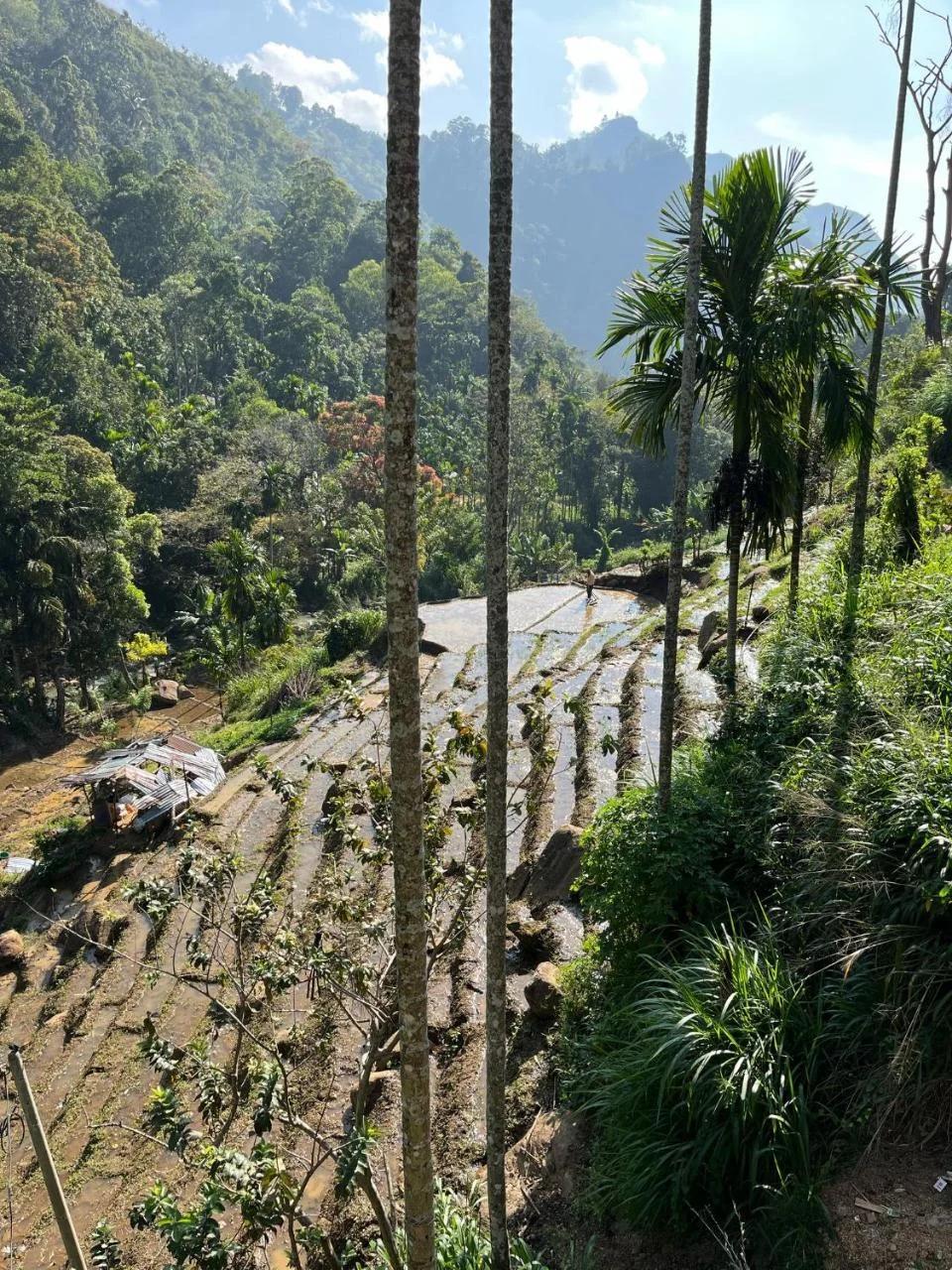 Creek Downhills photo