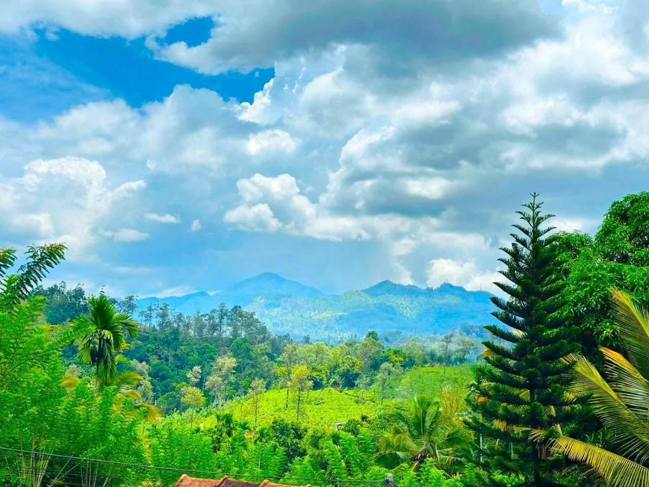 Crest Cold Homestay