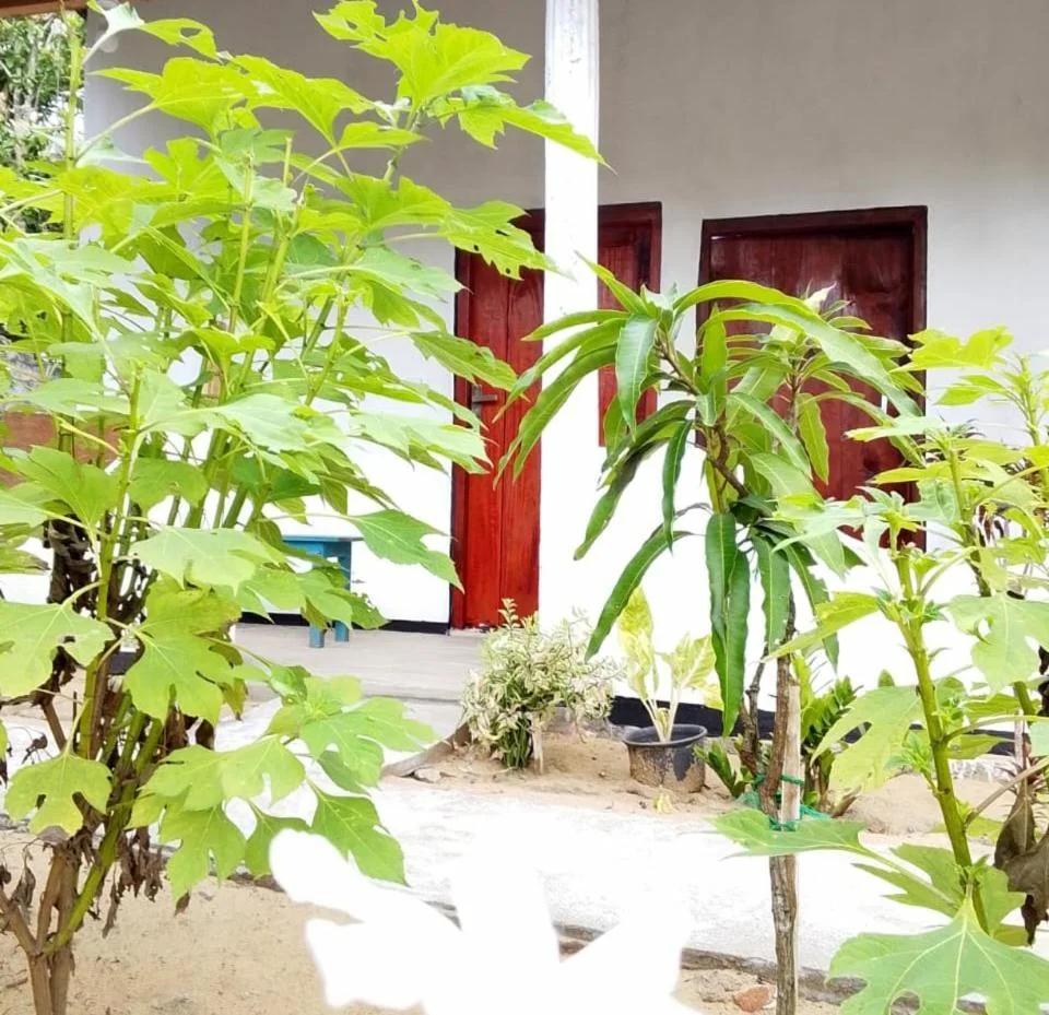 FR Resort Arugambay