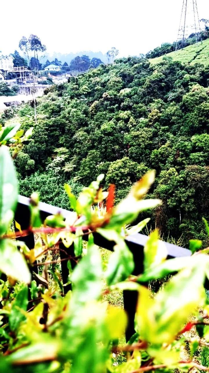 Green Gregory Villa Nuwara Eliya foto