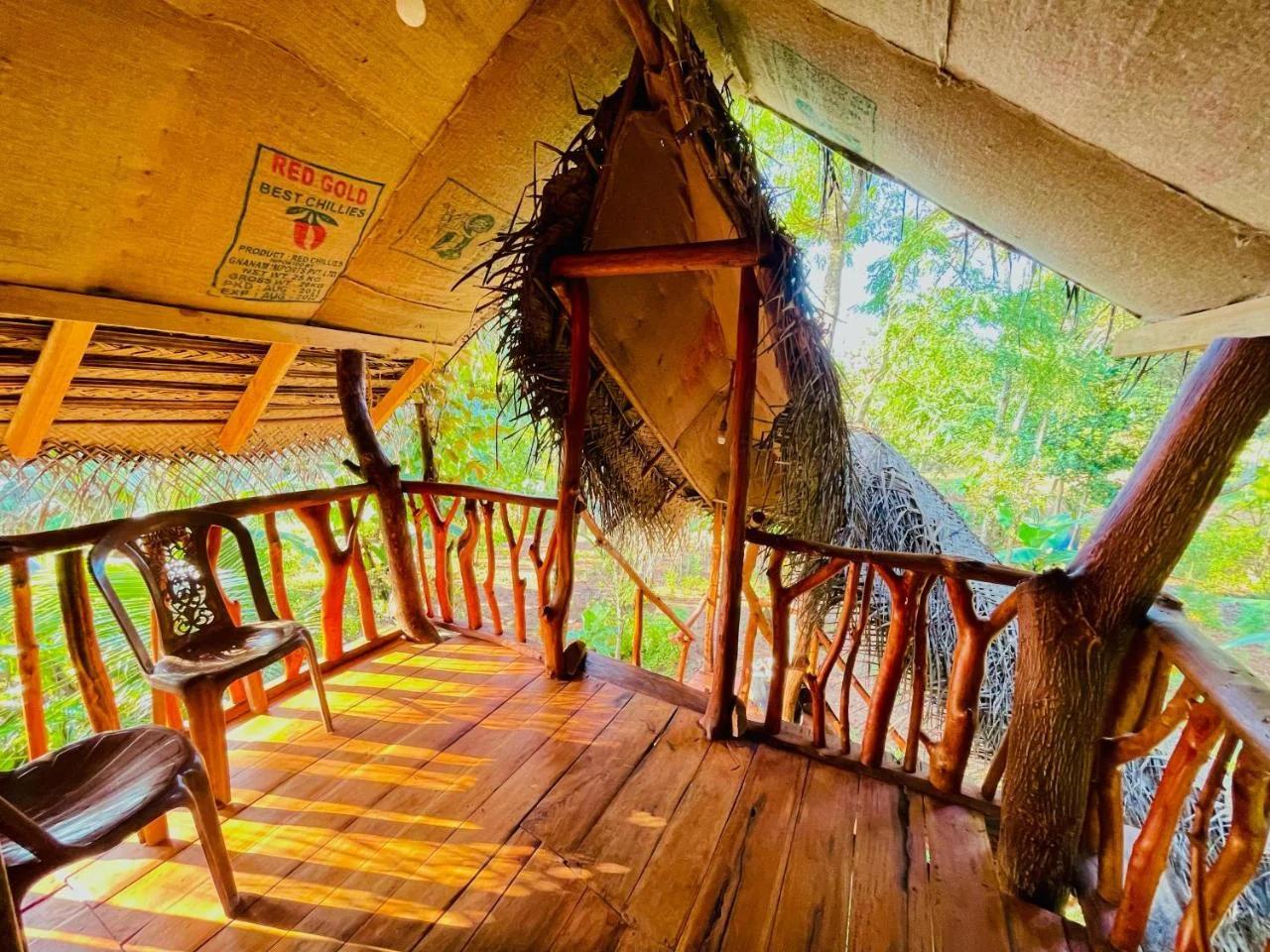 Green land tree house sigiriya photo