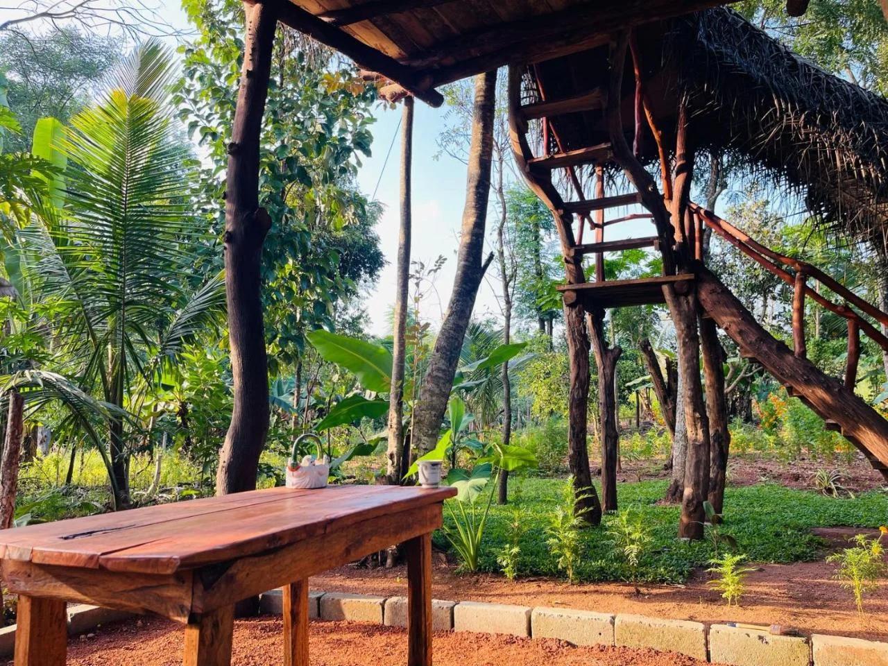 Green land tree house sigiriya photo