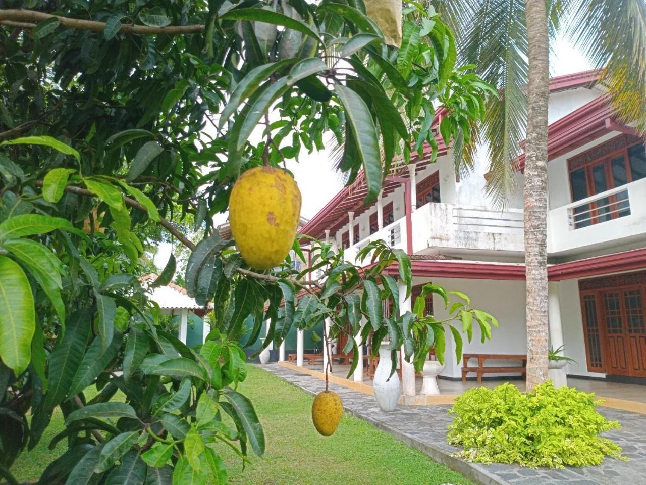 Mango Villa Bentota foto