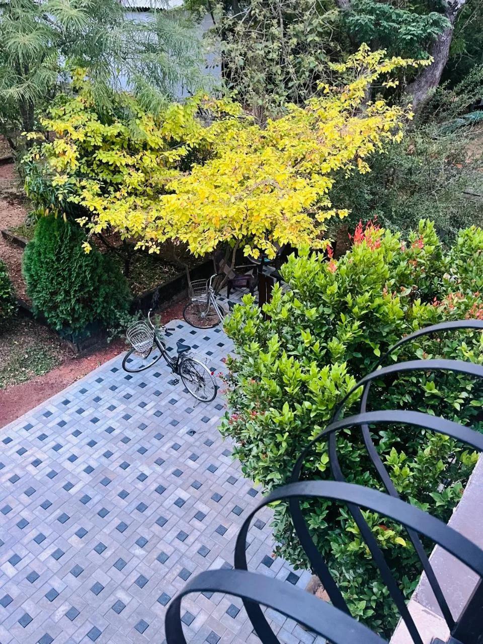 Mashi's Villa photo