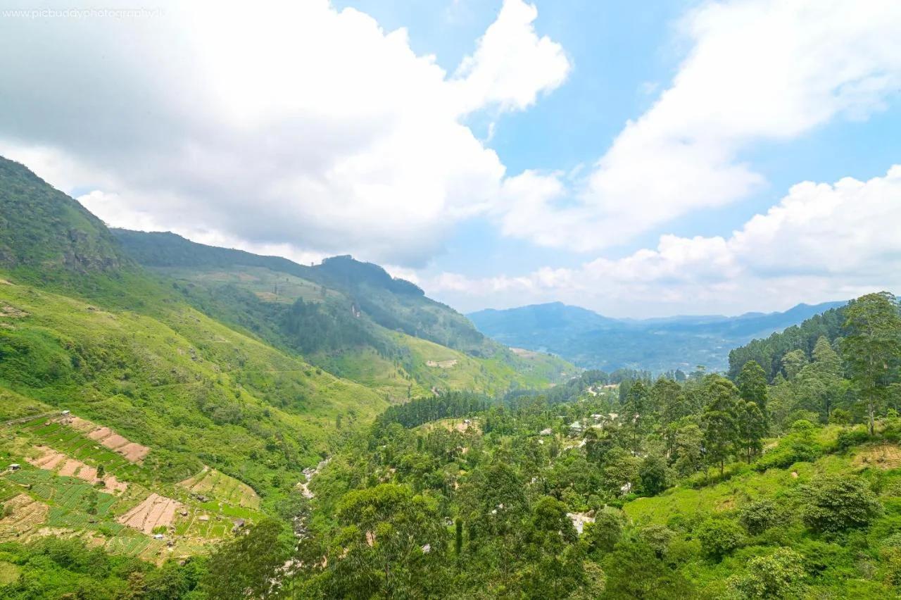 Natural View Resort foto