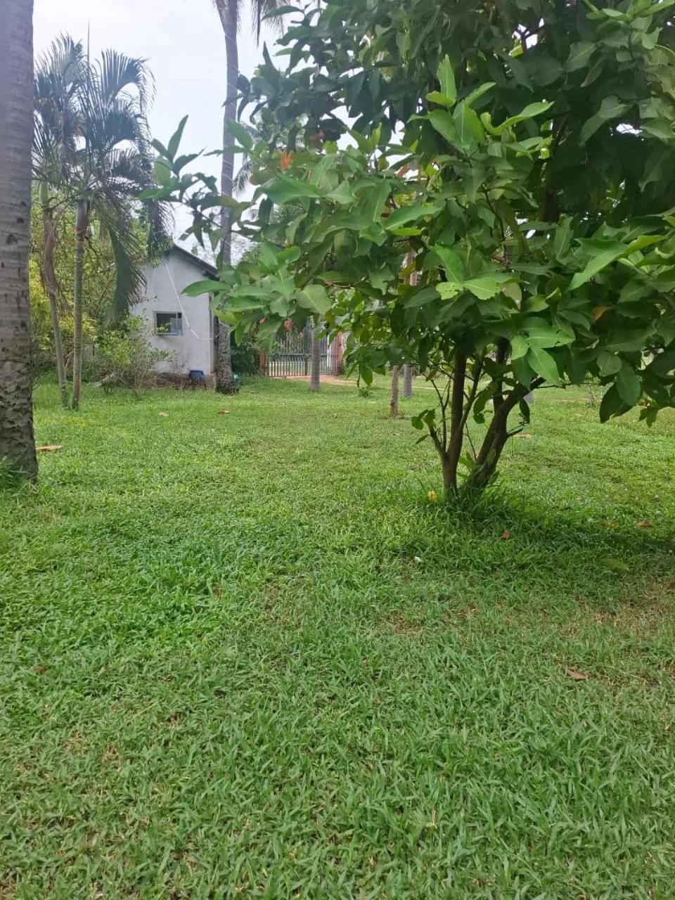 Nilaveli Shan Guest photo