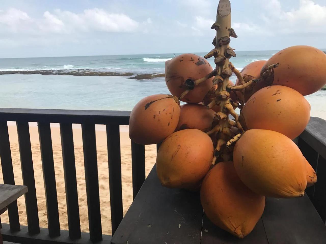 Orchard House Galle foto