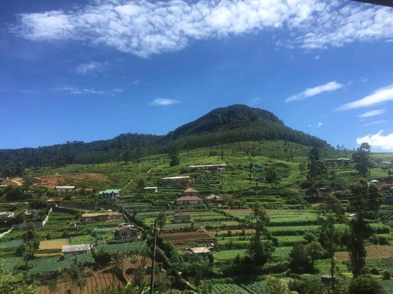 Perera Homestay foto