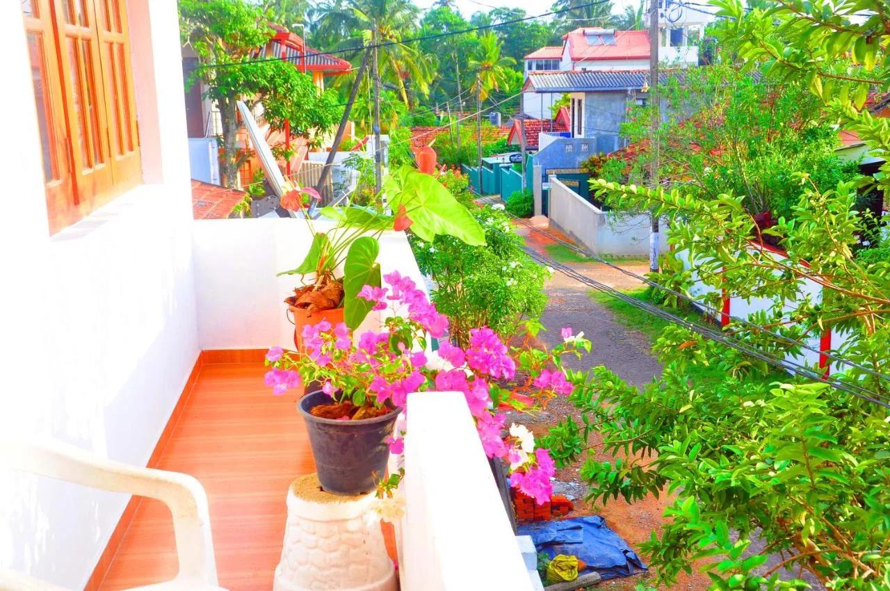Senero House photo