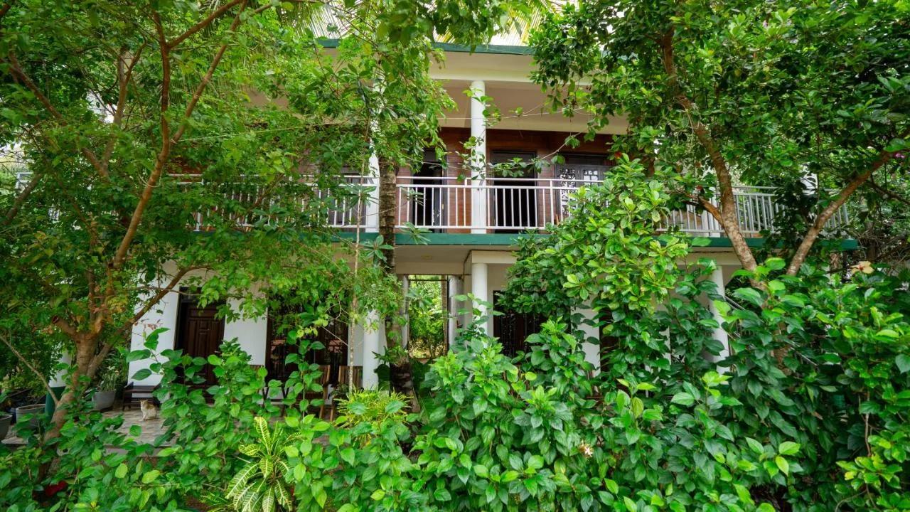 Shady mango villa photo
