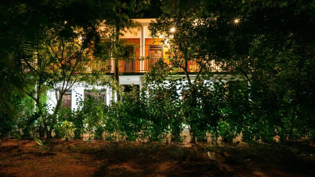 Shady mango villa photo