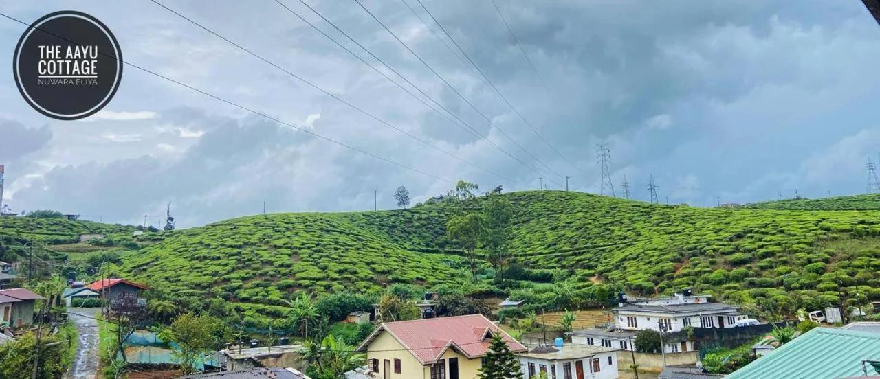 The Aayu Cottage foto