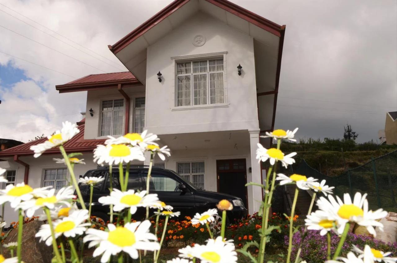 Thuring's Holiday Bungalow foto