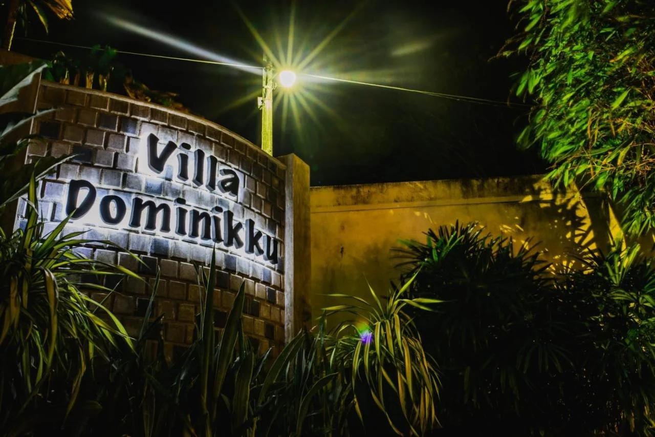 Villa Dominikku photo