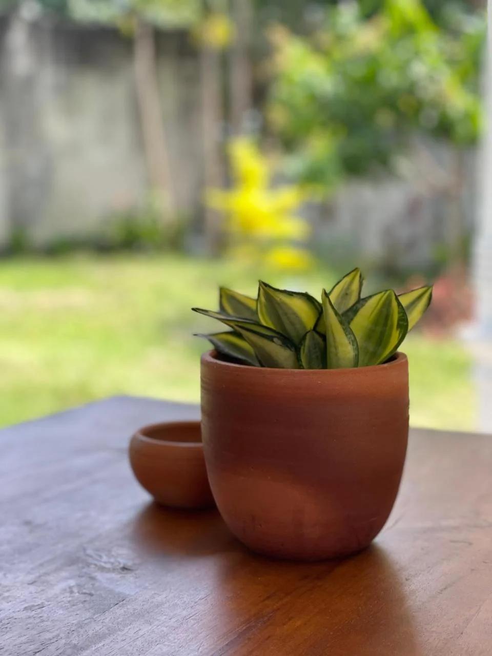 Villa Hideout photo