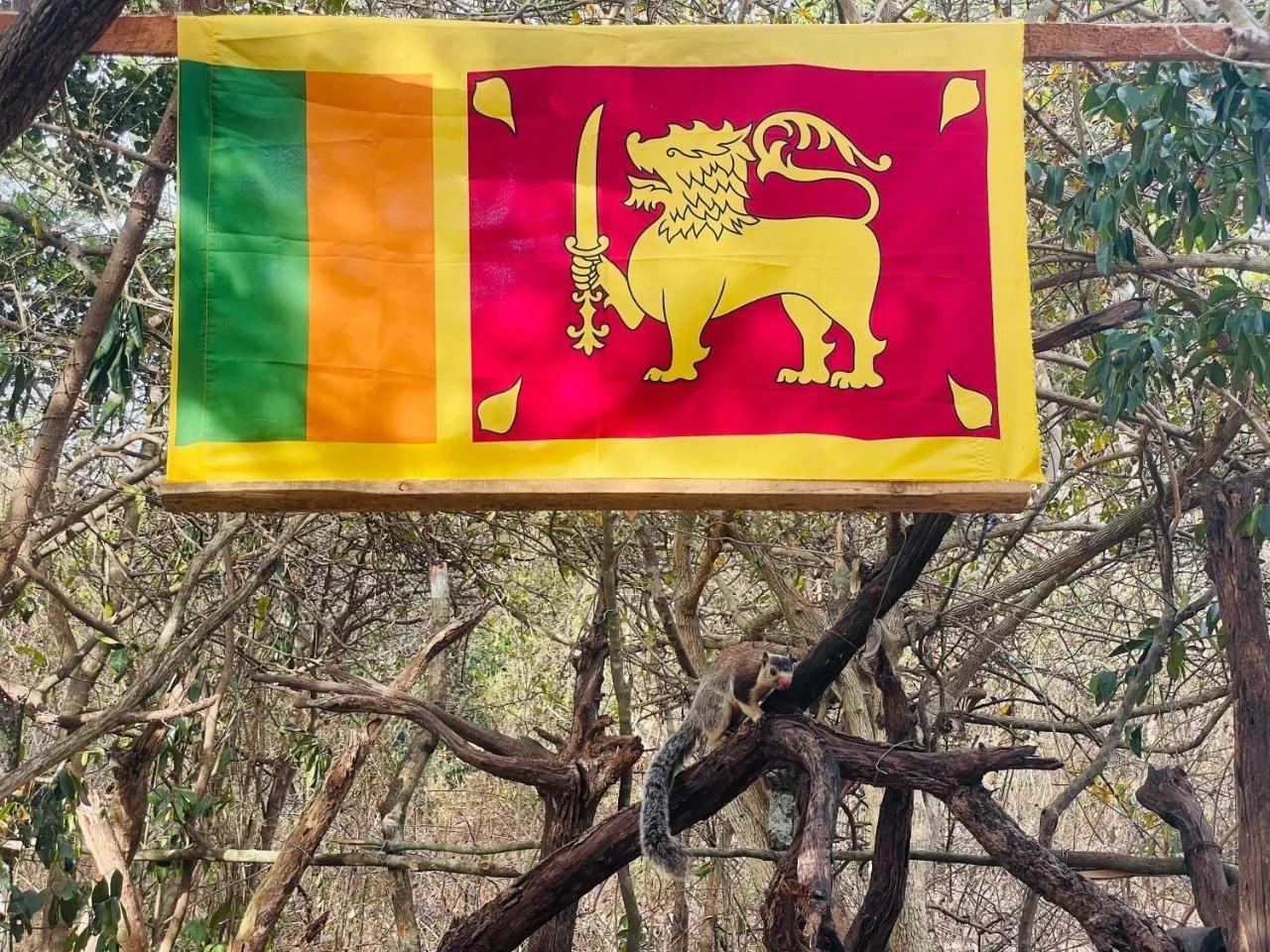 Yala Jungle Haven foto