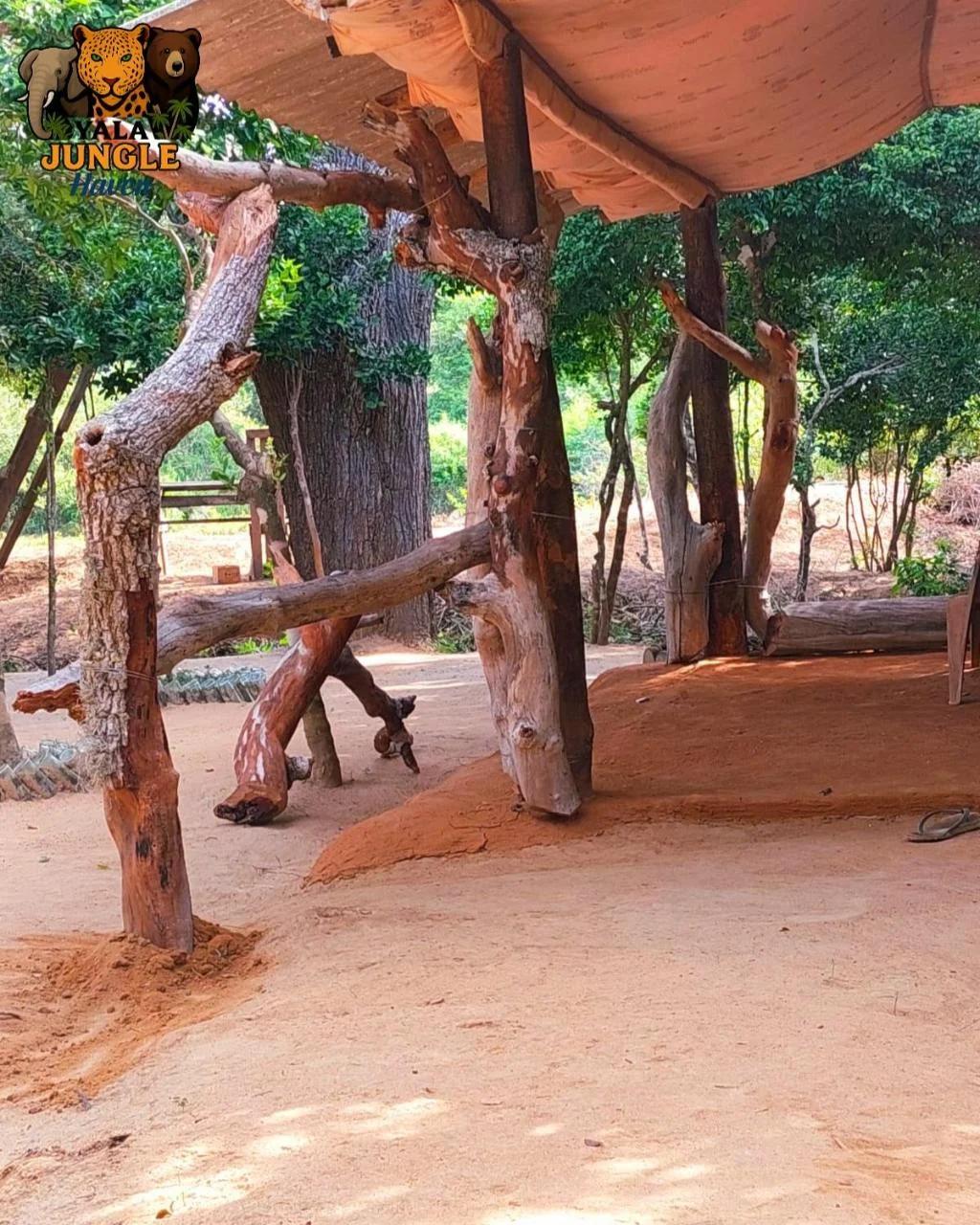 Yala Jungle Haven foto