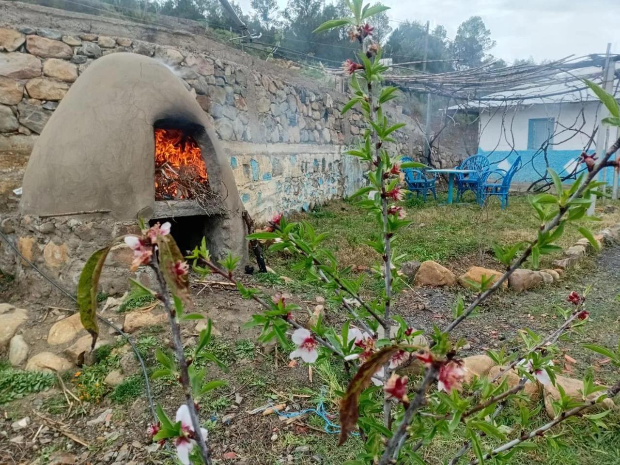 Dar zitouna photo