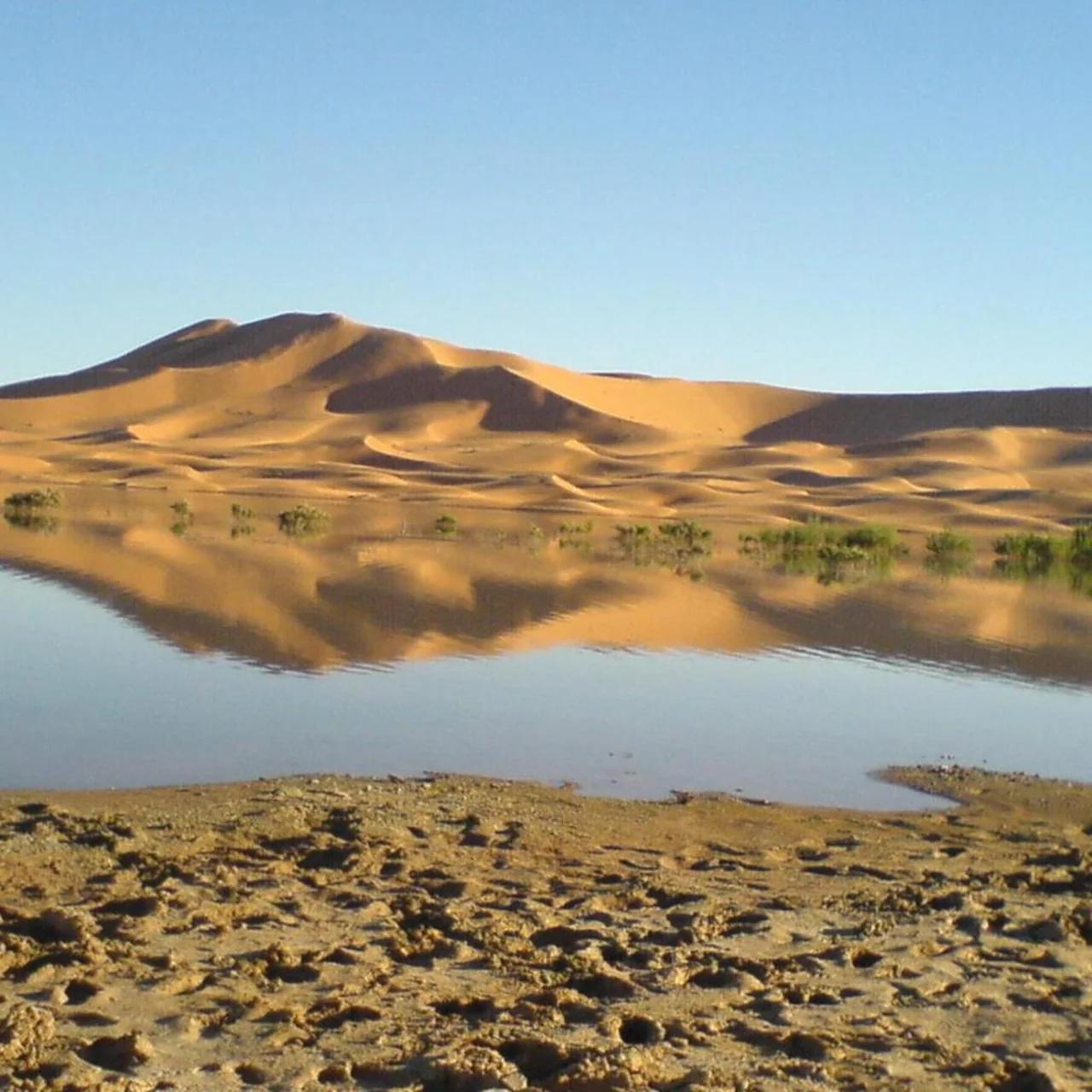Kasbah Erg Chebbi foto