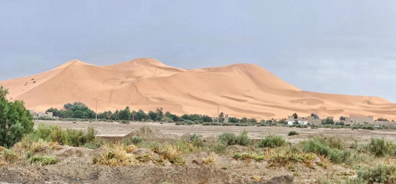 Luxury camp desert photo