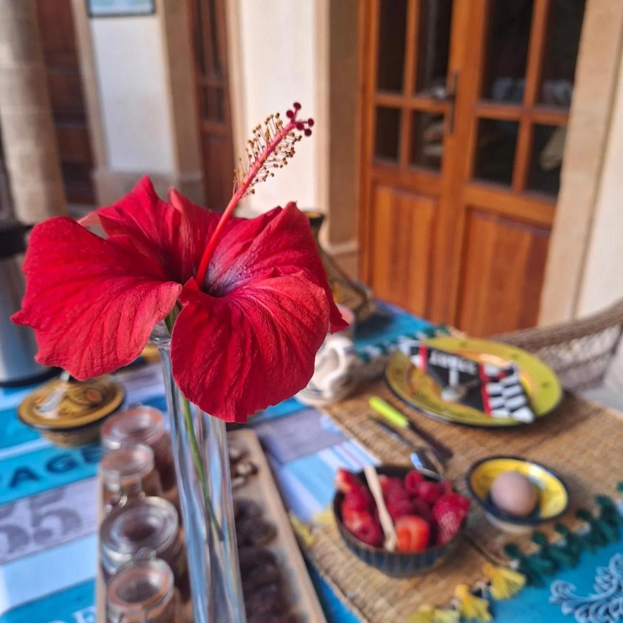 Riad de l'Audeline photo