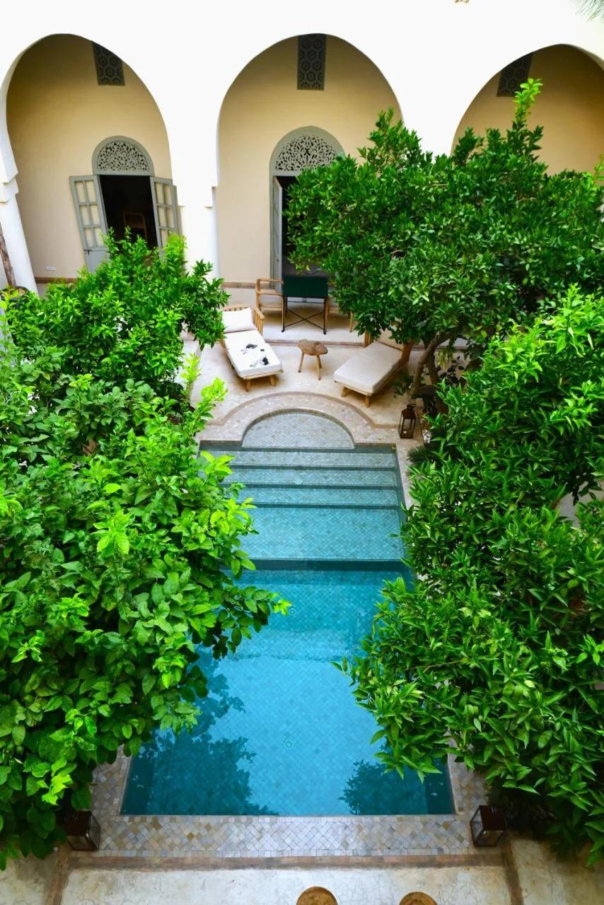 Riad Emberiza Sahari photo