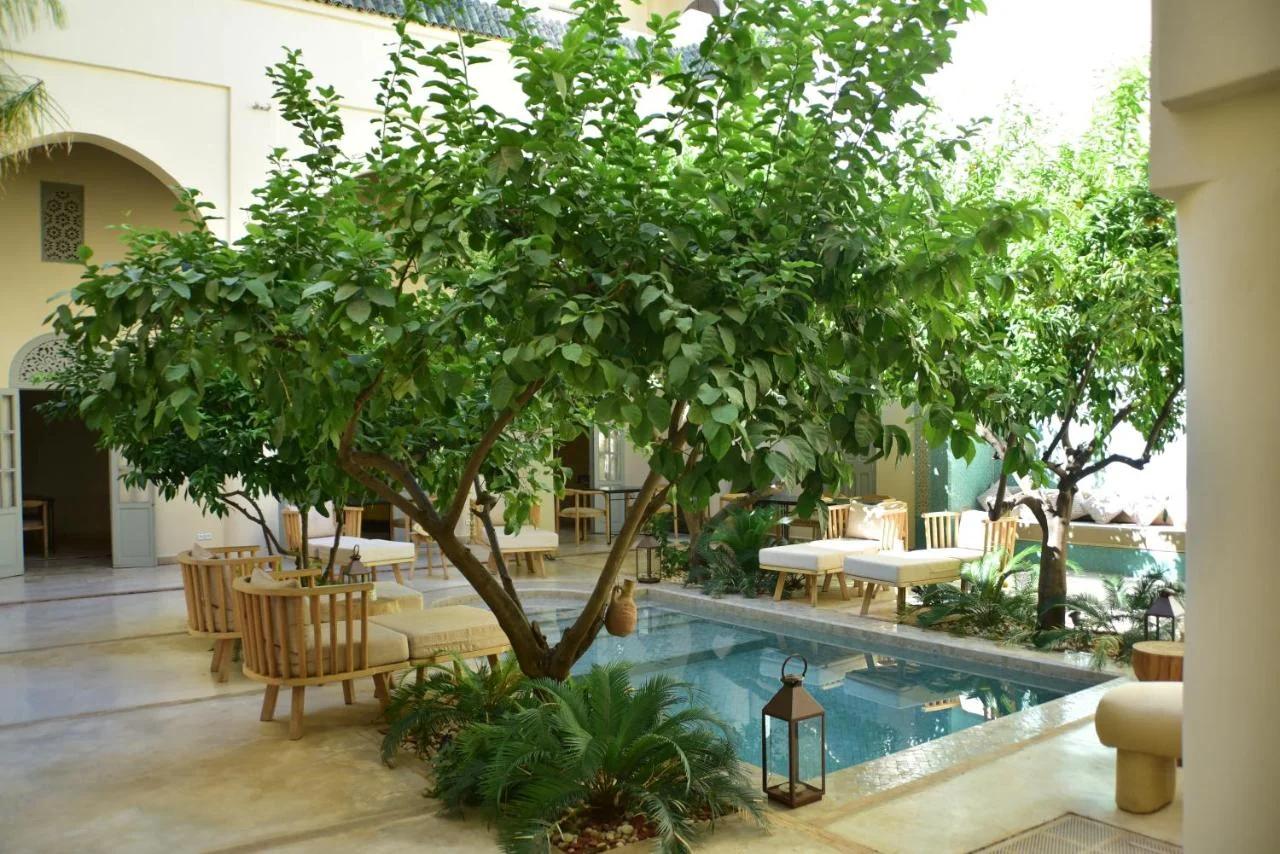 Riad Emberiza Sahari photo