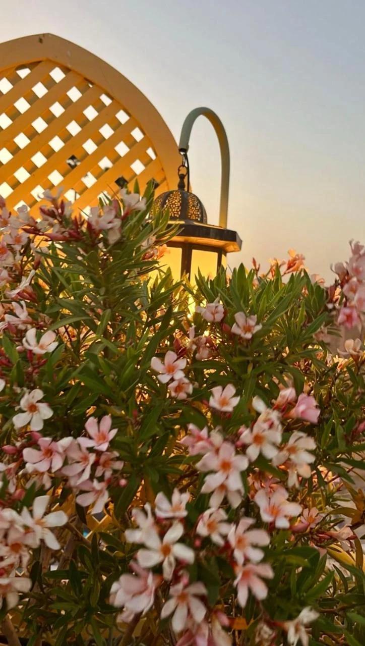 Riad Zouhour photo