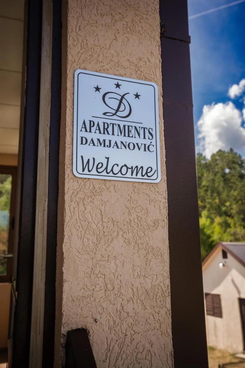 Apartman Damjanovic photo
