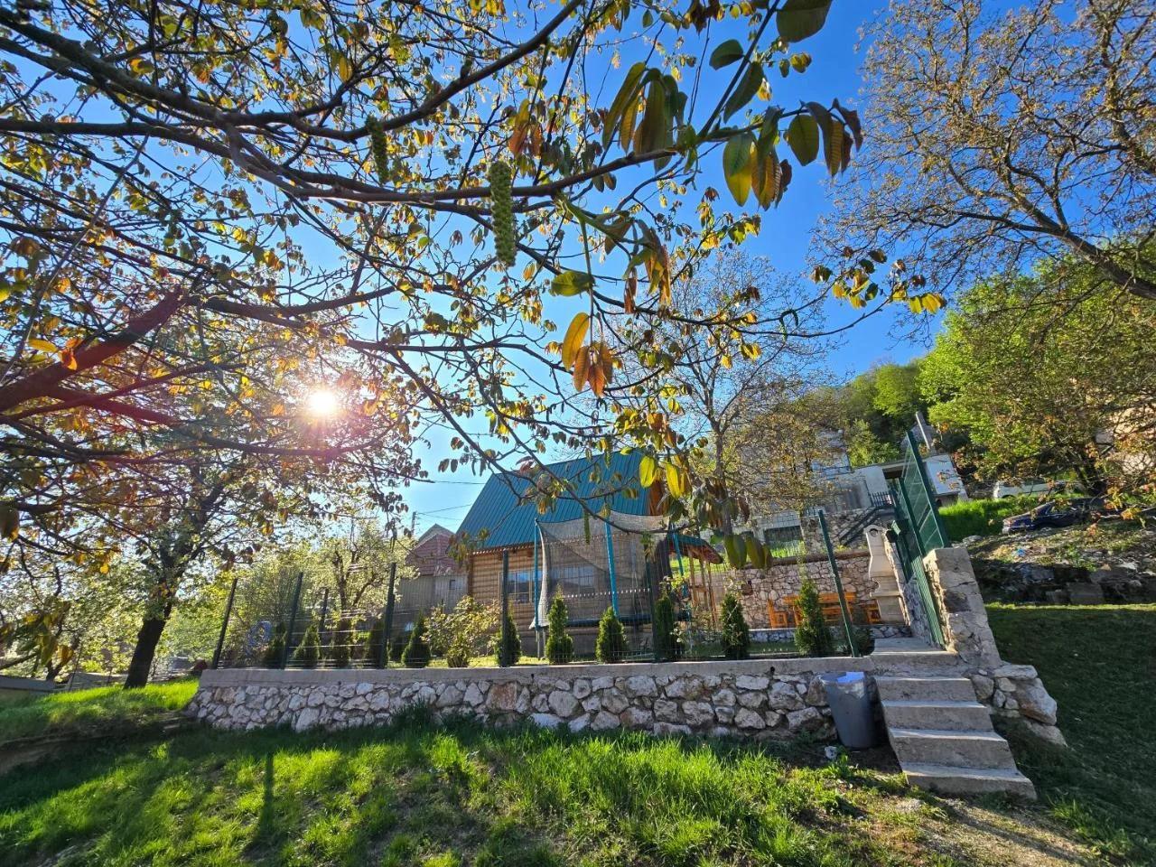 Brvnara RIĆKI photo
