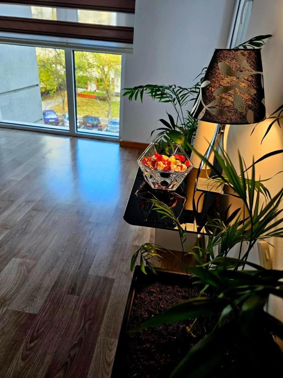 Eva's premium apartments photo