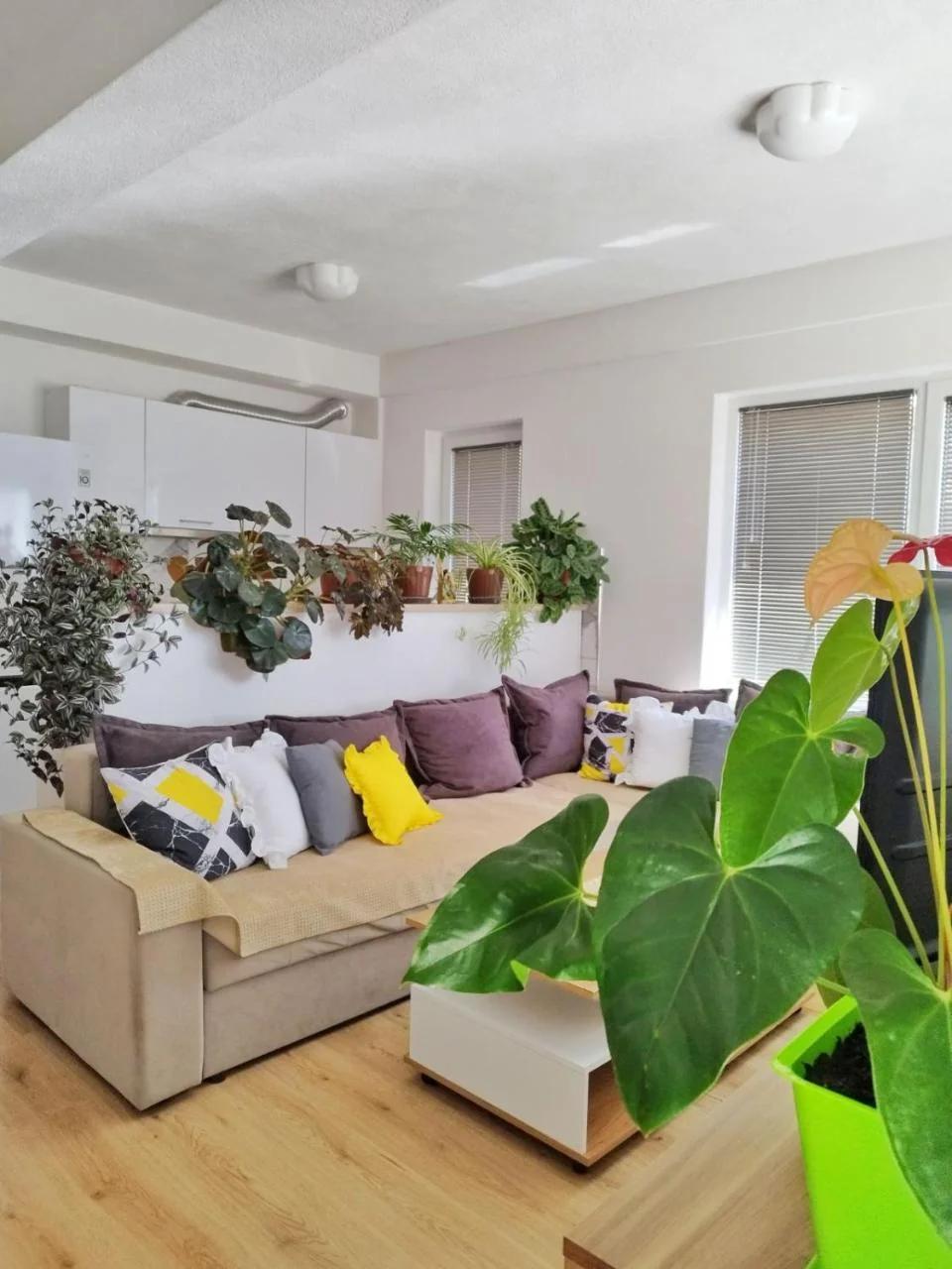 Makach Apartments photo