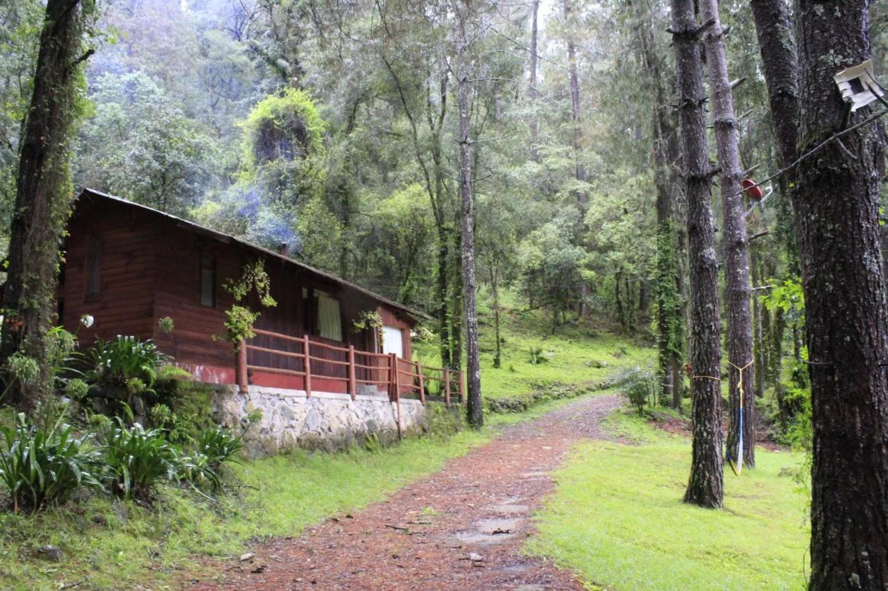 Cabañas Alpinas López Fontes foto