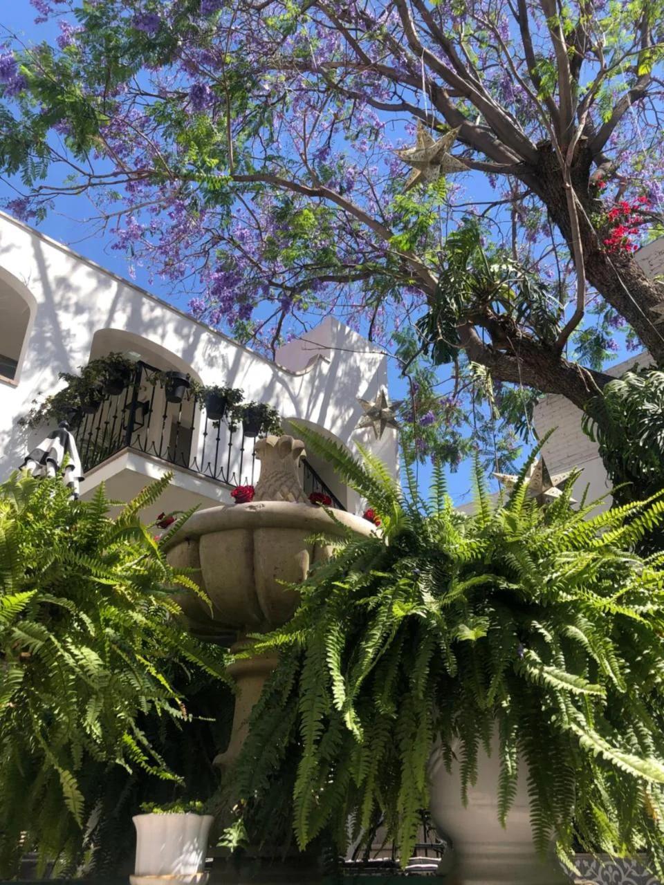 Casa Laní Luxury B&B photo