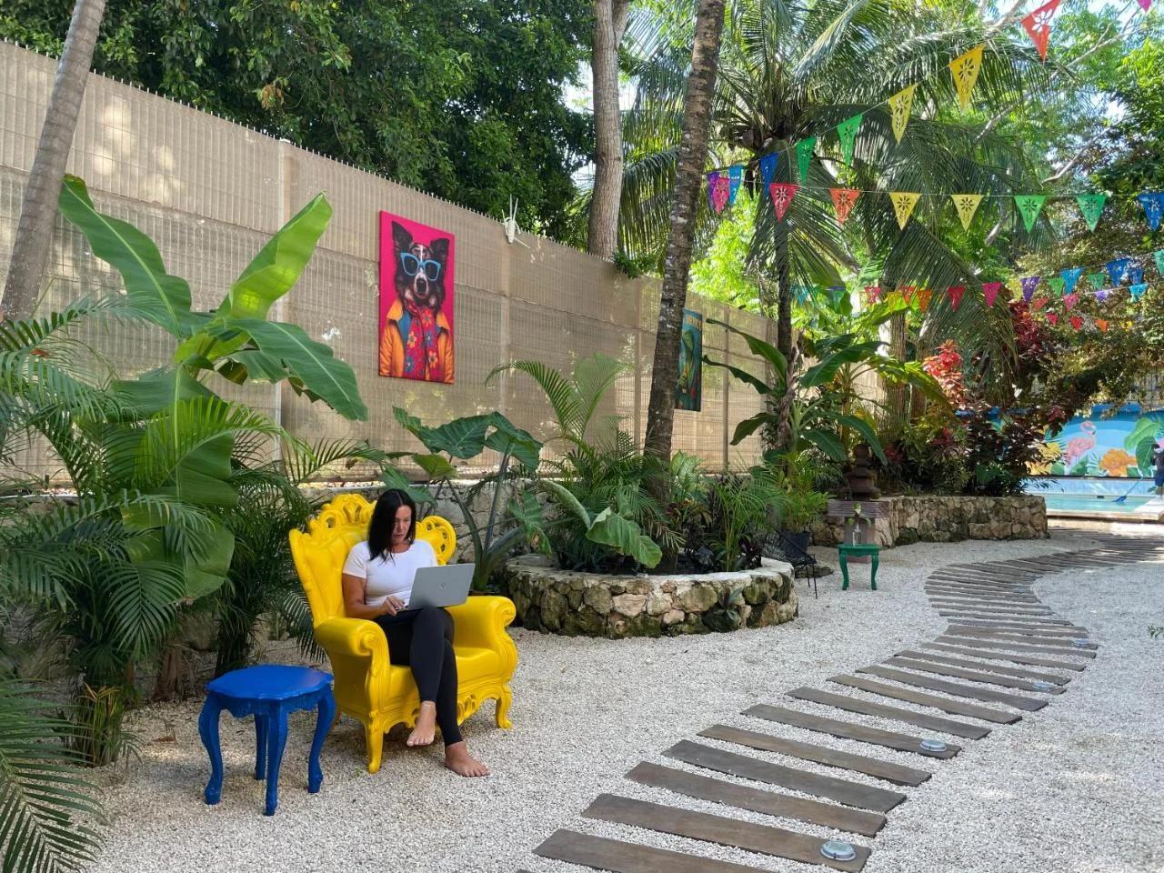Casa Mexico Lindo - Boutique Hostel photo
